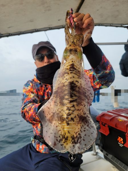 ソルトウォーターガイドフレンズ 釣果