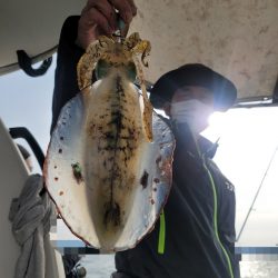 ソルトウォーターガイドフレンズ 釣果