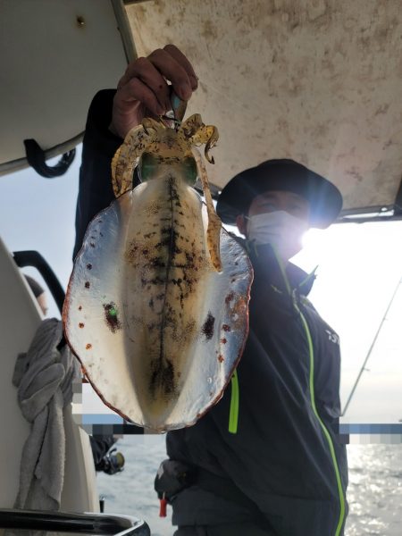 ソルトウォーターガイドフレンズ 釣果