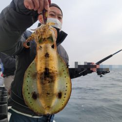 ソルトウォーターガイドフレンズ 釣果