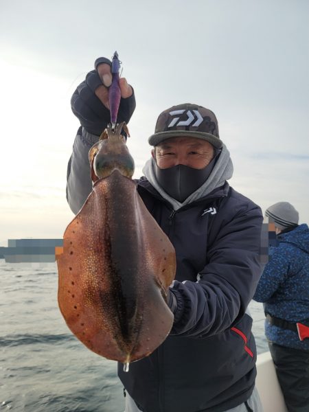 ソルトウォーターガイドフレンズ 釣果