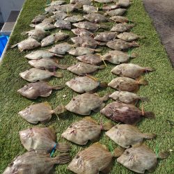 ブルースフィッシングサービス 釣果