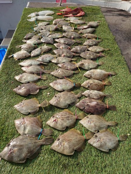 ブルースフィッシングサービス 釣果