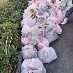 アマテラス 釣果