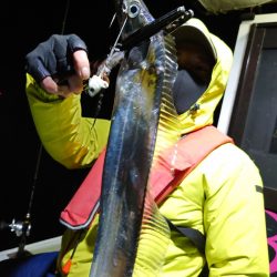 シースナイパー海龍 釣果