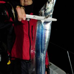 シースナイパー海龍 釣果