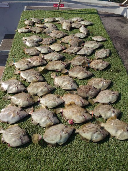 ブルースフィッシングサービス 釣果