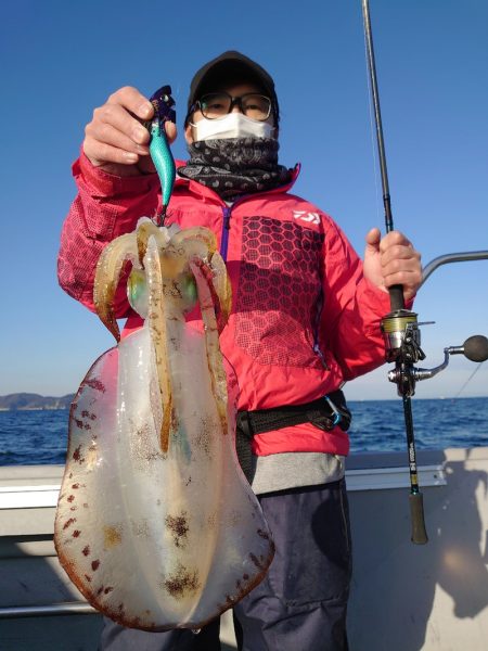 ブルースフィッシングサービス 釣果