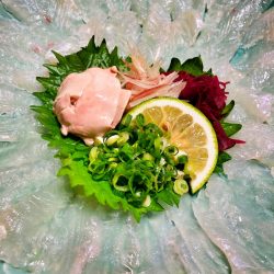 ブルースフィッシングサービス 釣果