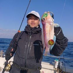 ARCADIAⅡ (アルカディアⅡ) 釣果