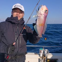 ARCADIAⅡ (アルカディアⅡ) 釣果