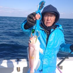 ARCADIAⅡ (アルカディアⅡ) 釣果