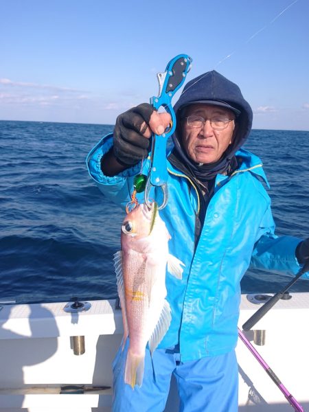 ARCADIAⅡ (アルカディアⅡ) 釣果