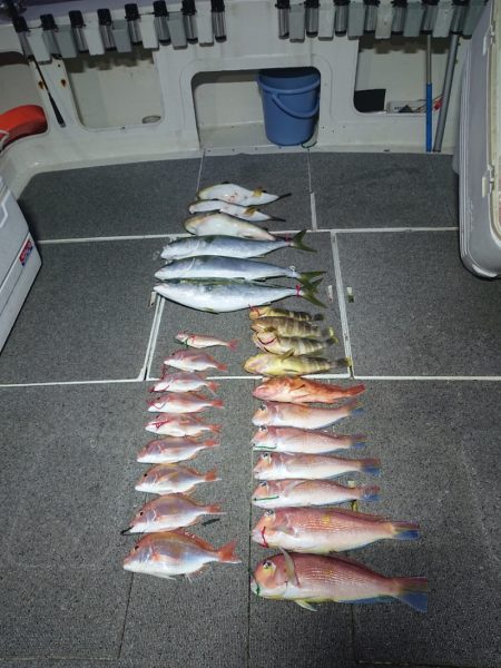 ARCADIAⅡ (アルカディアⅡ) 釣果