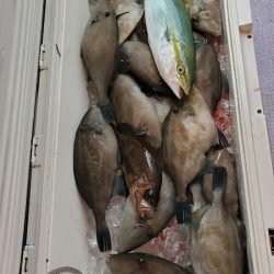 海龍丸（石川） 釣果