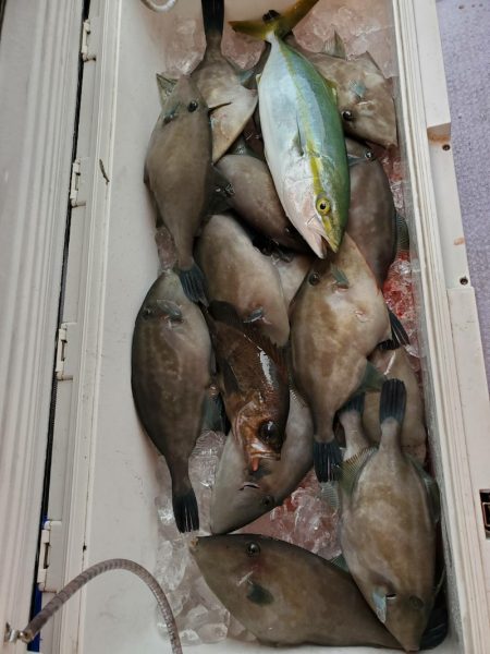 海龍丸（石川） 釣果