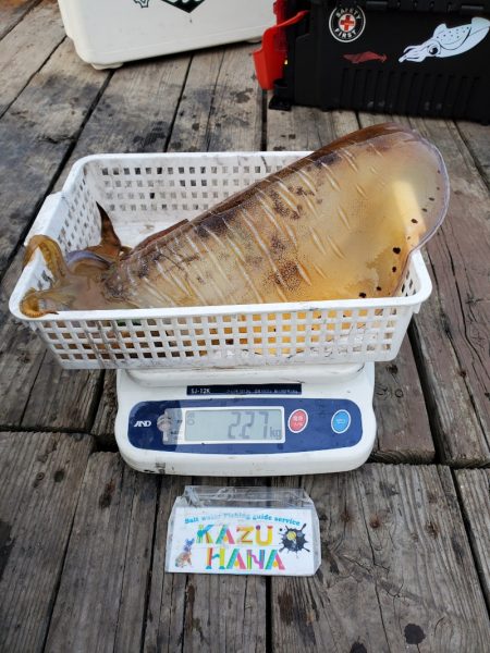 一華丸 釣果