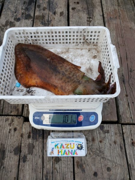 一華丸 釣果