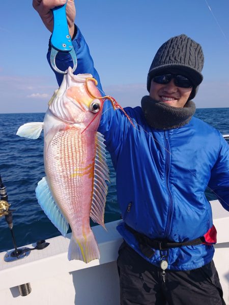 ARCADIAⅡ (アルカディアⅡ) 釣果