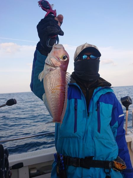 ARCADIAⅡ (アルカディアⅡ) 釣果