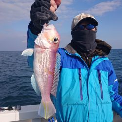 ARCADIAⅡ (アルカディアⅡ) 釣果