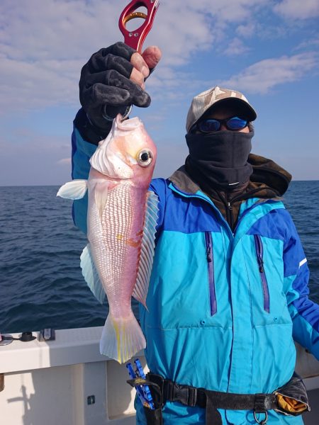 ARCADIAⅡ (アルカディアⅡ) 釣果