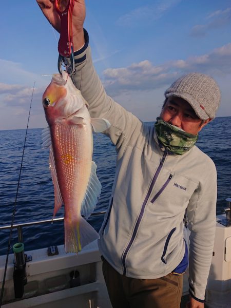 ARCADIAⅡ (アルカディアⅡ) 釣果