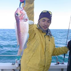 ARCADIAⅡ (アルカディアⅡ) 釣果