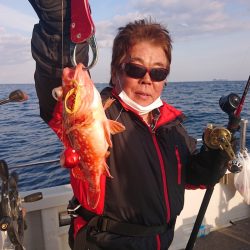 ARCADIAⅡ (アルカディアⅡ) 釣果