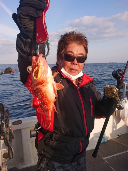 ARCADIAⅡ (アルカディアⅡ) 釣果