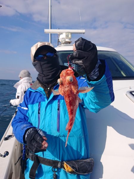 ARCADIAⅡ (アルカディアⅡ) 釣果