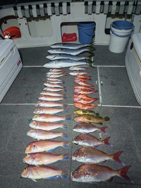 ARCADIAⅡ (アルカディアⅡ) 釣果