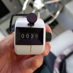 アマテラス 釣果