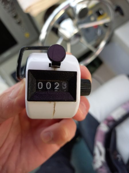 アマテラス 釣果