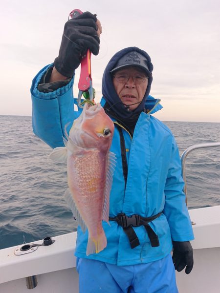 ARCADIAⅡ (アルカディアⅡ) 釣果