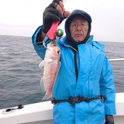 ARCADIAⅡ (アルカディアⅡ) 釣果