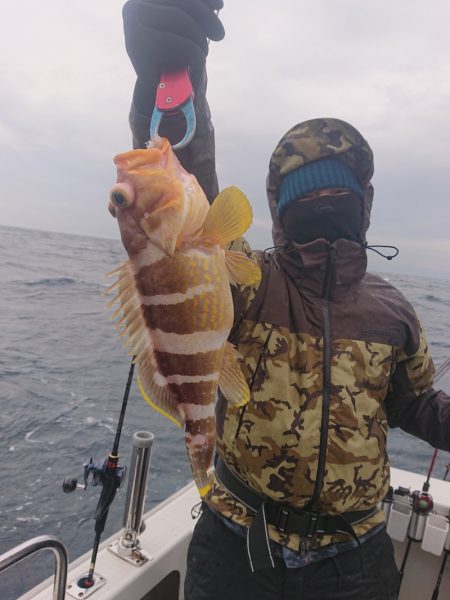 ARCADIAⅡ (アルカディアⅡ) 釣果