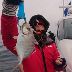 ARCADIAⅡ (アルカディアⅡ) 釣果