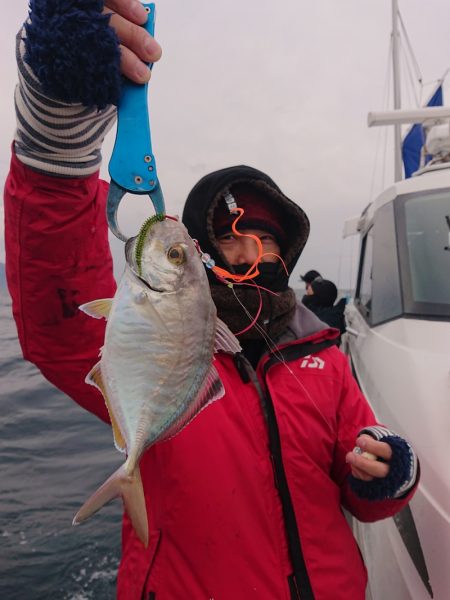 ARCADIAⅡ (アルカディアⅡ) 釣果