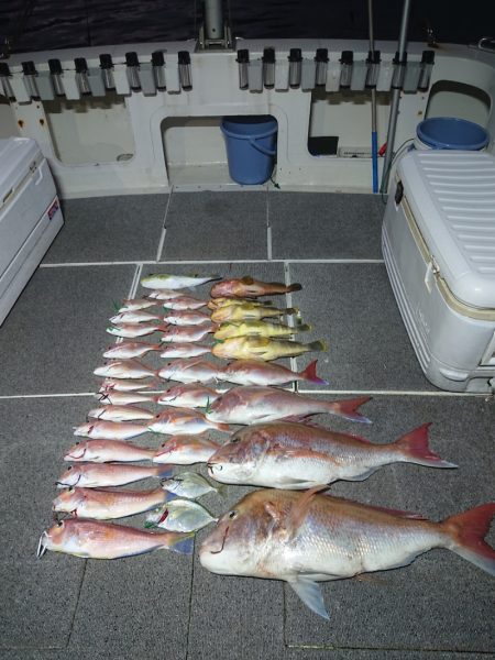 ARCADIAⅡ (アルカディアⅡ) 釣果