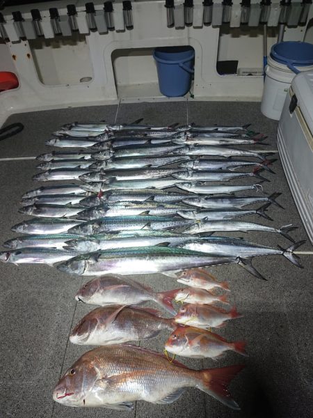 ARCADIAⅡ (アルカディアⅡ) 釣果