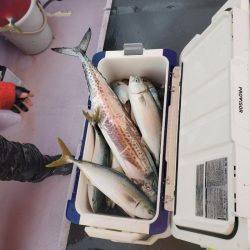 海龍丸（石川） 釣果