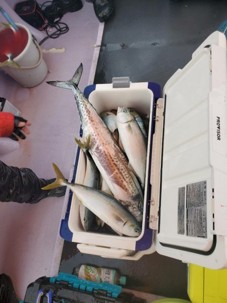海龍丸（石川） 釣果