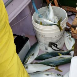 海龍丸（石川） 釣果