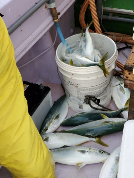 海龍丸（石川） 釣果