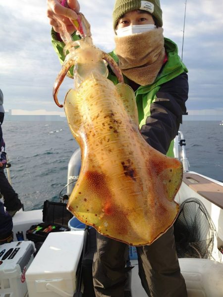 ソルトウォーターガイドフレンズ 釣果