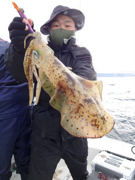 ソルトウォーターガイドフレンズ 釣果