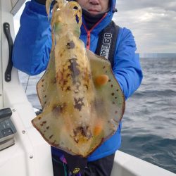 ソルトウォーターガイドフレンズ 釣果