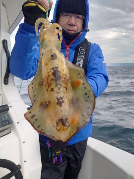 ソルトウォーターガイドフレンズ 釣果