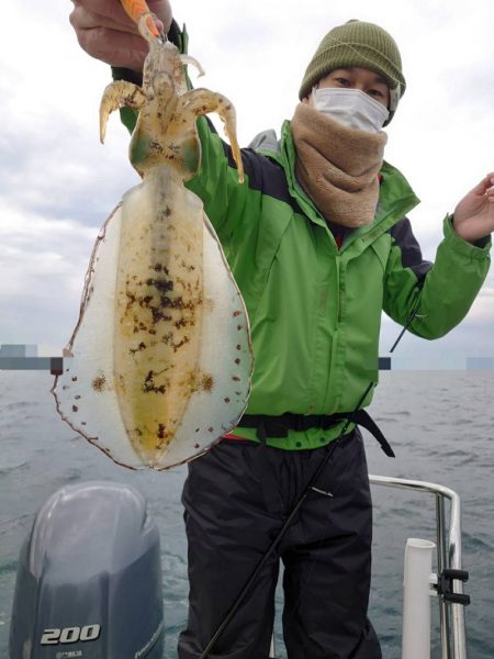 ソルトウォーターガイドフレンズ 釣果